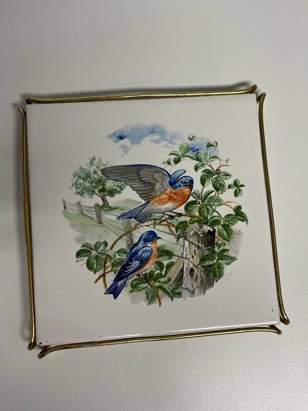 Blue and Orange Bird Ceramic Tile Decorative Plate